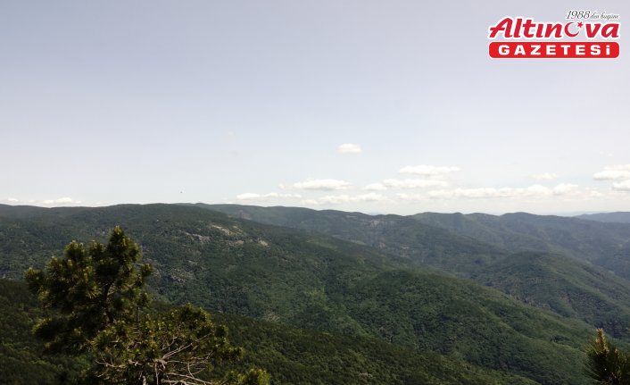 Türkiye'nin 14 masifinden biri olan Kazdağları yüzlerce bitki çeşidine ev sahipliği yapıyor