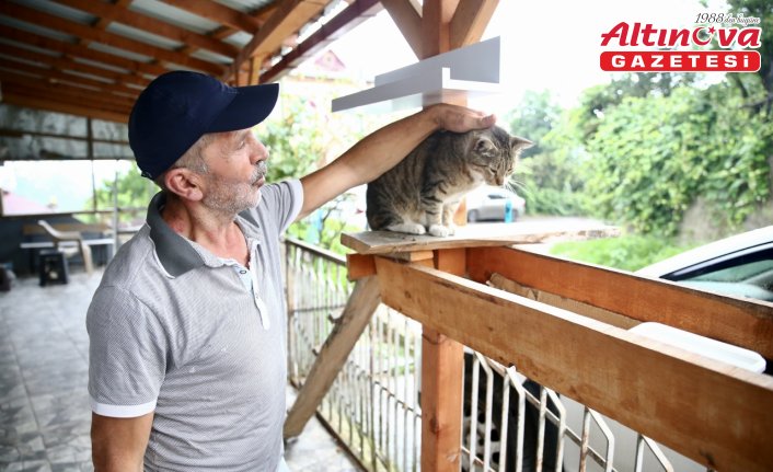 Yaşama tutunmalarını sağladığı kedilerin bakımını aksatmıyor