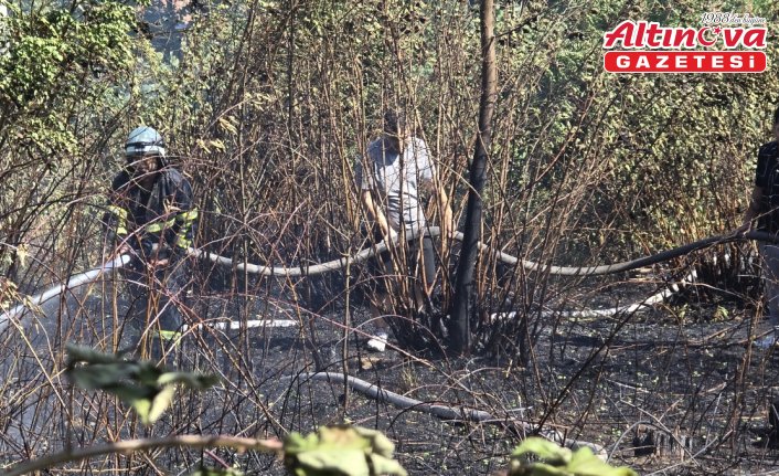 Zonguldak'ta iki noktada çıkan orman yangınları söndürüldü