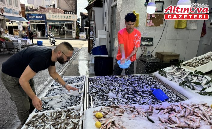 Ağlara erken takılan hamsi balıkçının yüzünü güldürdü