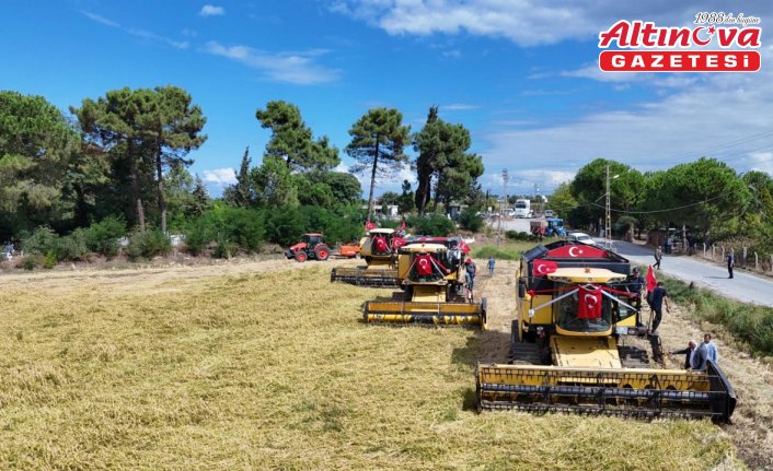 Alaçam'da Çeltik Hasat Festivali düzenlendi