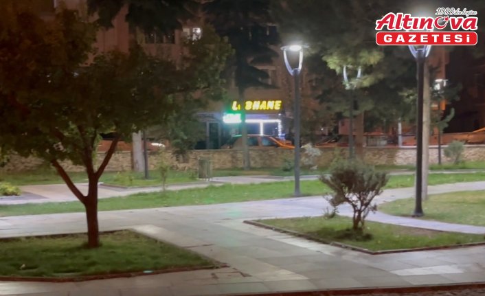 Amasya'da kent merkezinde yiyecek arayan tilki görüntülendi