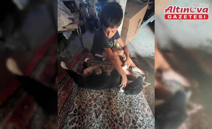 Amasya'da su borusuna sıkışan köpek yavruları kurtarıldı