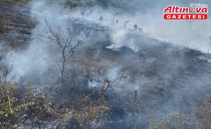 Bafra'da çıkan örtü yangınında 150 dekar alan zarar gördü