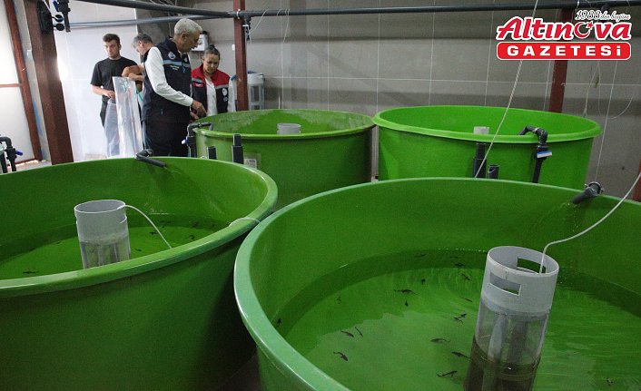 Balıkçılık ve Su Ürünleri Genel Müdürü Turgay Türkyılmaz Bolu'da incelemede bulundu