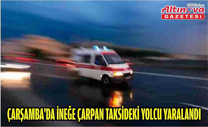 Çarşamba'da ineğe çarpan taksideki yolcu yaralandı