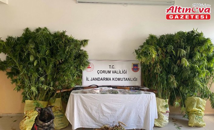 Çorum'da evinde uyuşturucu ele geçirilen zanlı tutuklandı