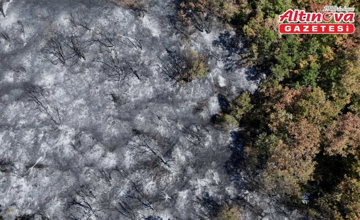 Düzce'deki yangında zarar gören alanlar havadan görüntülendi