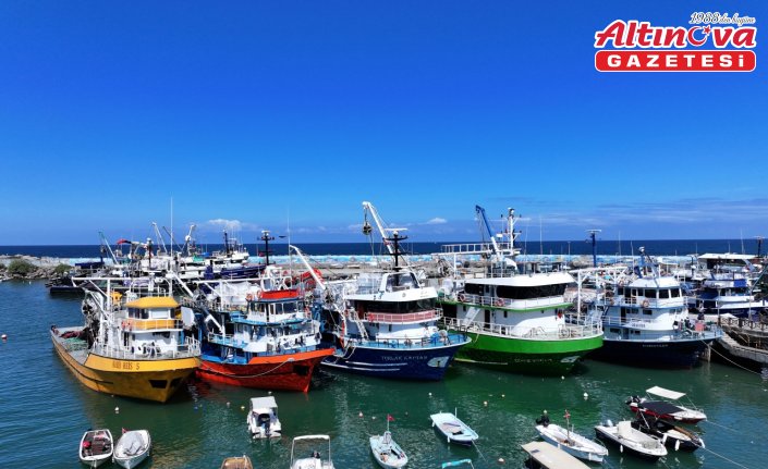 Düzceli balıkçıların yeni sezonda umudu hamsi