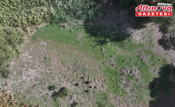 Edirne'deki Musabeyli Göleti kuraklık nedeniyle tamamen kurudu