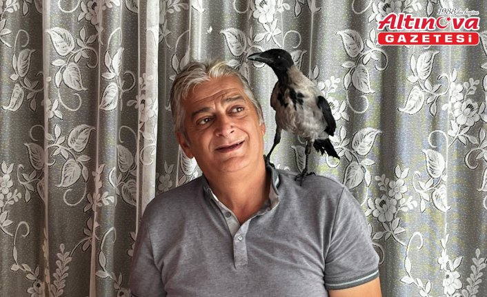 Fındık ikram ettiği kargayla dostluk kurdu