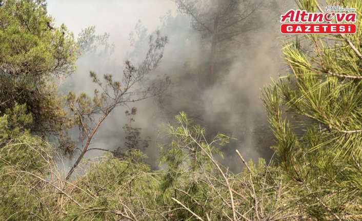 Karabük'te ormanlık alanda çıkan yangına müdahale sürüyor