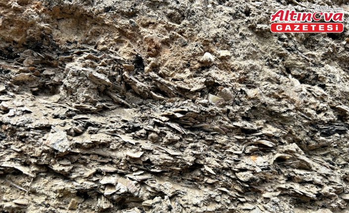 İkiztepe Höyüğü'ndeki kazılarda midye kabuklu katmana ulaşıldı