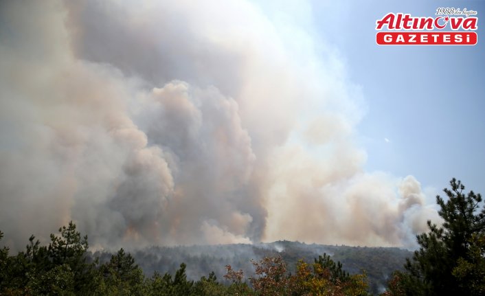 Karabük'te başlayan yangın Kastamonu'ya ulaştı