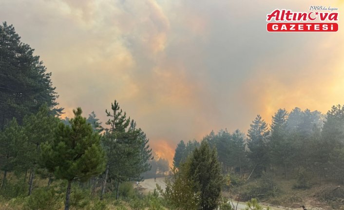 Karabük'te çıkan orman yangınına müdahale ediliyor