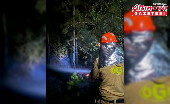 Kastamonu'daki örtü yangını söndürüldü