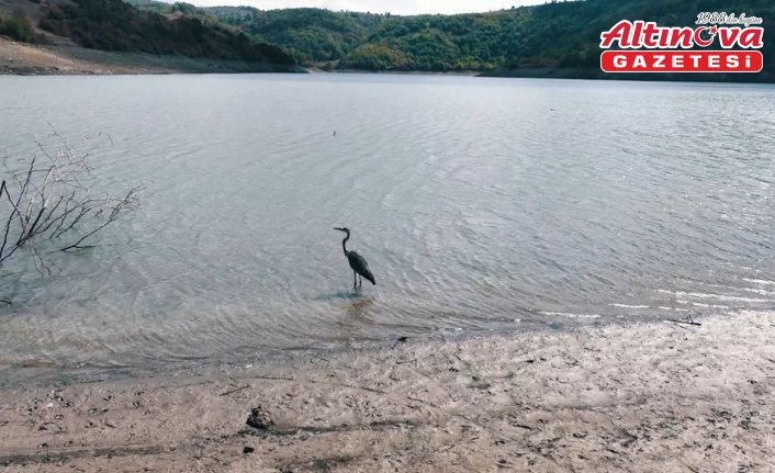 Kızılcapınar Barajı'nda su seviyesi 100 kotun altına indi