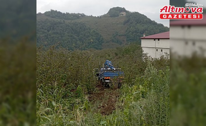 Samsun'da fındık bahçesine yuvarlanan kamyonetteki 3 kişi yaralandı