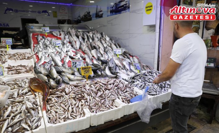 Samsun'da hamsi tezgahta 200-300 liradan satılıyor