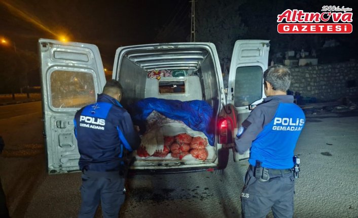 Samsun'da kaçak avlanan 5 ton midye ele geçirildi