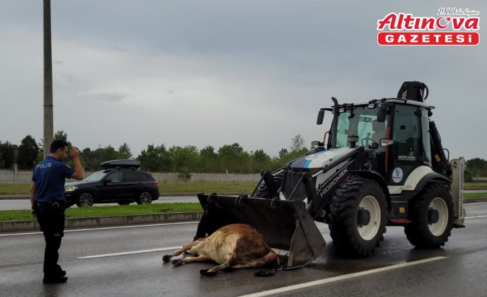 Samsun'da trafik kazalarında 3 kişi yaralandı
