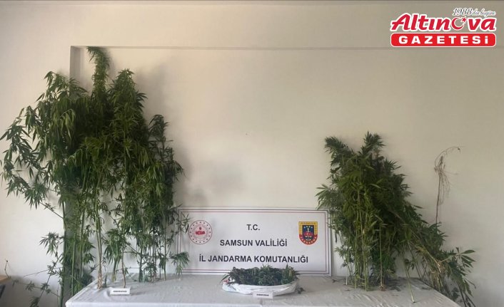 Samsun'da uyuşturucu operasyonunda 2 şüpheli yakalandı