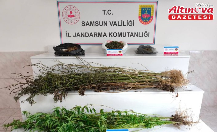 Bafra'da uyuşturucu operasyonunda 3 kişi yakalandı