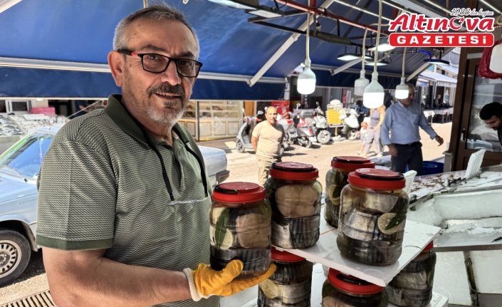 Sinop'ta coğrafi işaretli lakerdalar tezgahlardaki yerini aldı