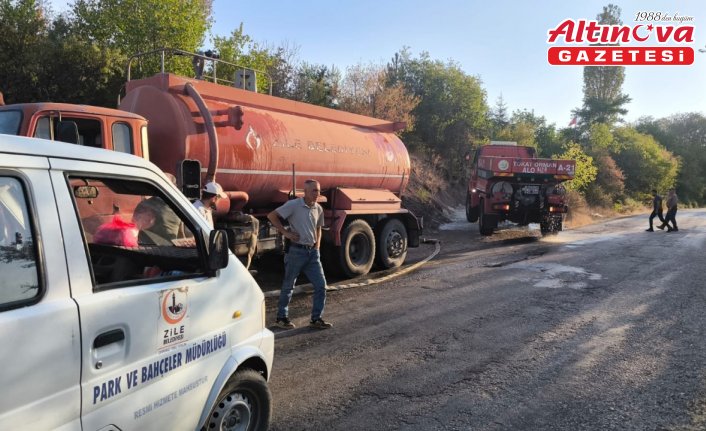 Tokat'ta çıkan orman yangını kontrol altına alındı