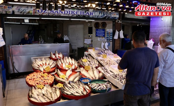 Trabzon'da balıkçı tezgahlarını istavrit ve mezgit süslüyor