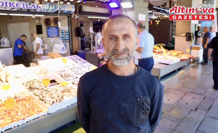 Trabzon'daki balıkçı tezgahlarında hamsi bolluğu yaşanıyor