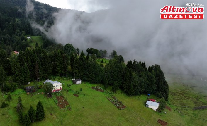 Trabzon'un yüksek kesimlerinde sis etkili oldu