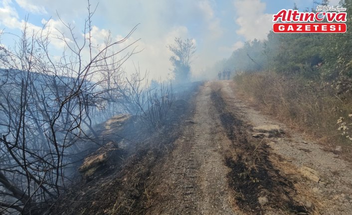 Zonguldak'ta çıkan örtü yangını kontrol altına alındı