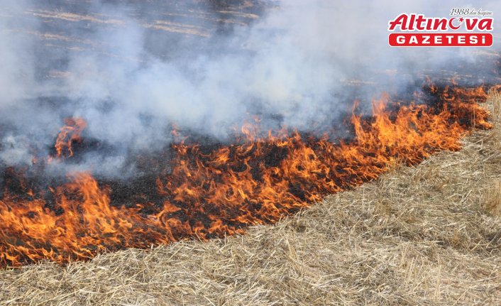 Amasya'da çıkan anız yangını söndürüldü