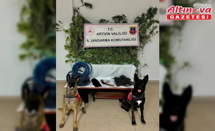 Artvin'de uyuşturucu ticareti yaptığı gerekçesiyle 1 zanlı tutuklandı