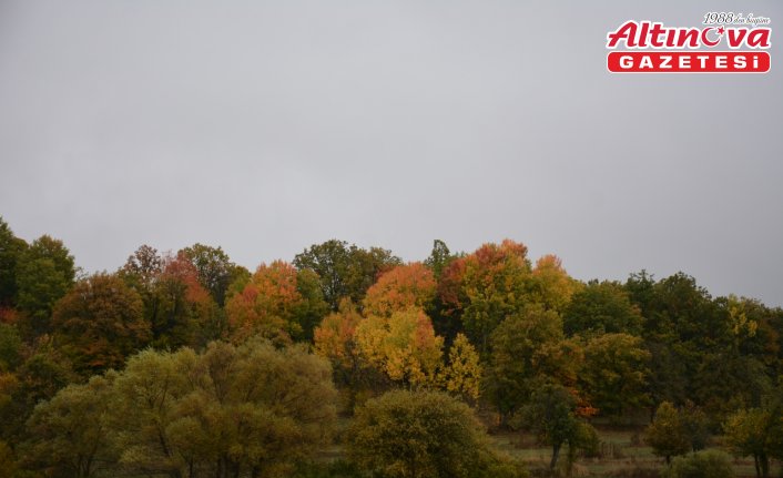 Başçiftlik'te sonbahar renkleri fotoğraflandı
