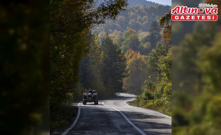 Bolu'da ormanlık alanlar sonbahar renklerine büründü