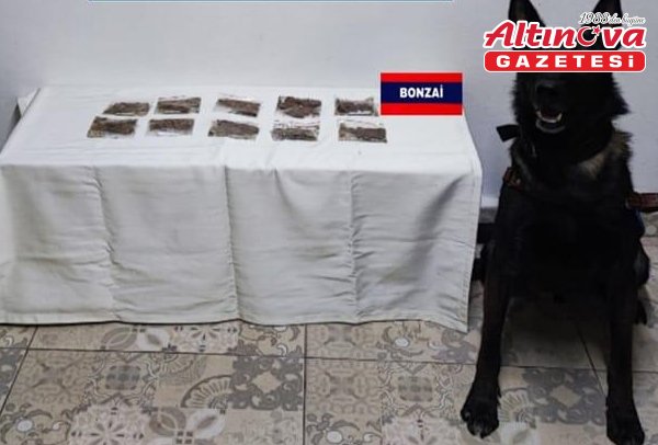 Bolu'da uyuşturucu operasyonunda 7 şüpheli gözaltına alındı