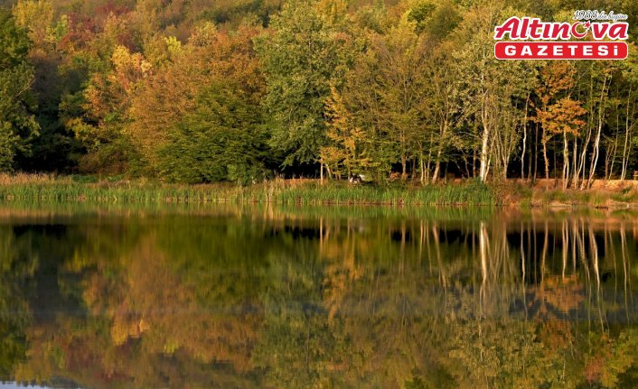 Düzce'deki Korugöl Tabiat Parkı ziyaretçilerini sonbahar manzarasıyla ağırlıyor