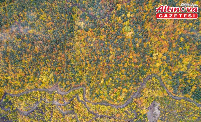 Ilgaz Dağı'nda sonbahar tüm renkleriyle yaşanıyor