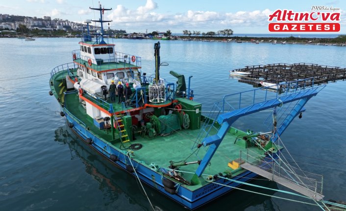 Karadeniz'de balık stoklarının araştırılmasına yönelik çalışmalar devam ediyor