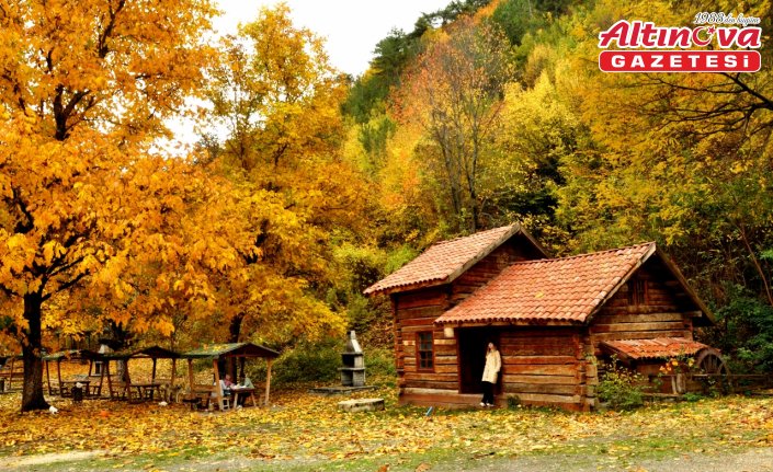 Kastamonu ormanları sonbahar renklerine büründü