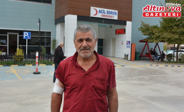Kastamonu'da ayıdan kaçarken düşen çiftçi yaralandı