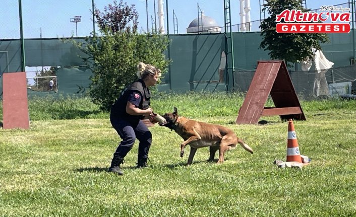 Köpekli arama kurtarma ekiplerinin bir durağı da Trabzon oldu