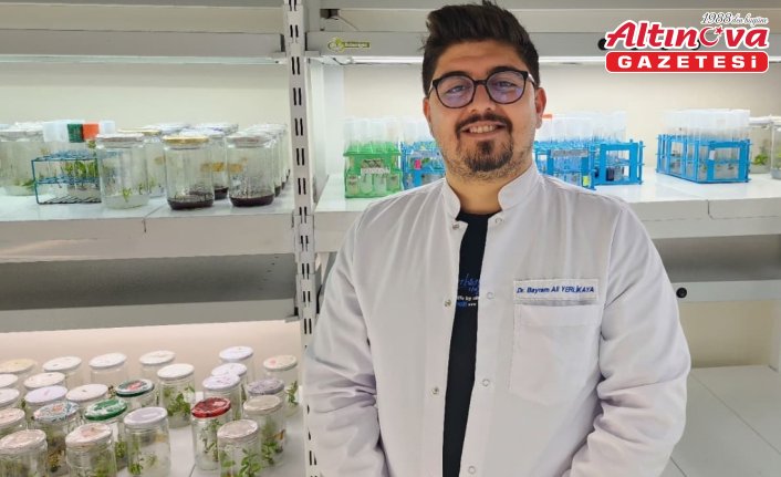 OMÜ'nün “domates“ projesi TÜBİTAK'tan destek gördü