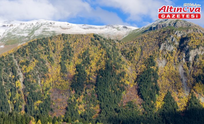 “Sakin şehir“ Şavşat'ta sonbahar rengarenk