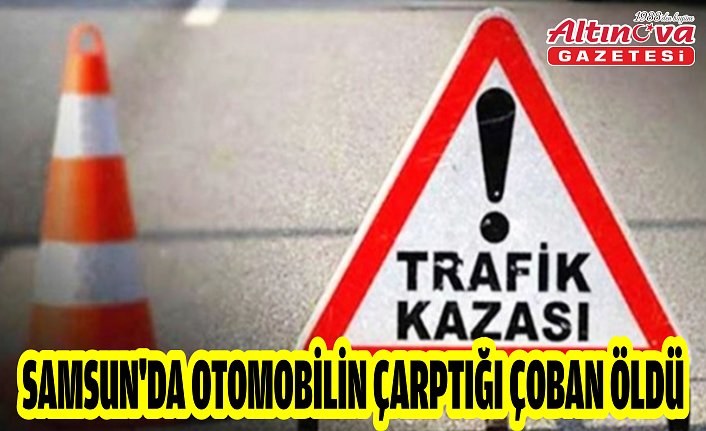 Samsun'da otomobilin çarptığı çoban öldü