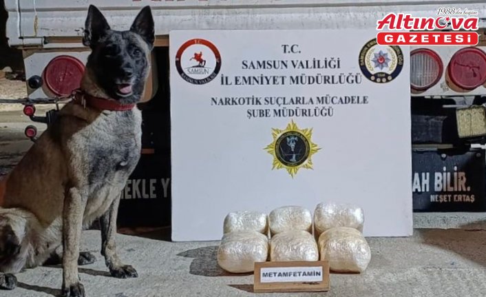 Samsun'da nakliye aracına saklanan uyuşturucuyu “Şila“nın hassas burnu buldu