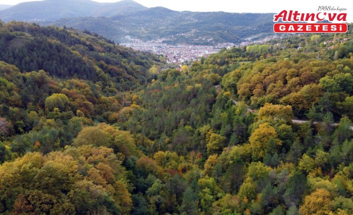 Sinop'ta sonbahar güzelliği seyirlik manzaralar sunuyor