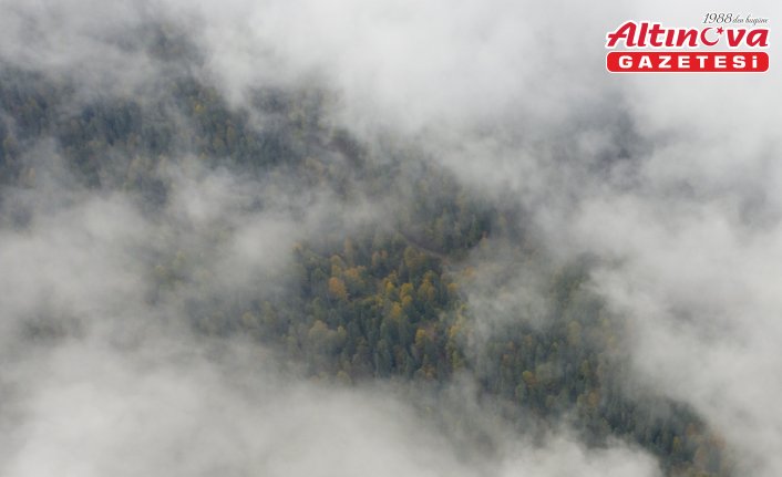 Sisle kaplanan Yedigöller yolu dronla görüntülendi